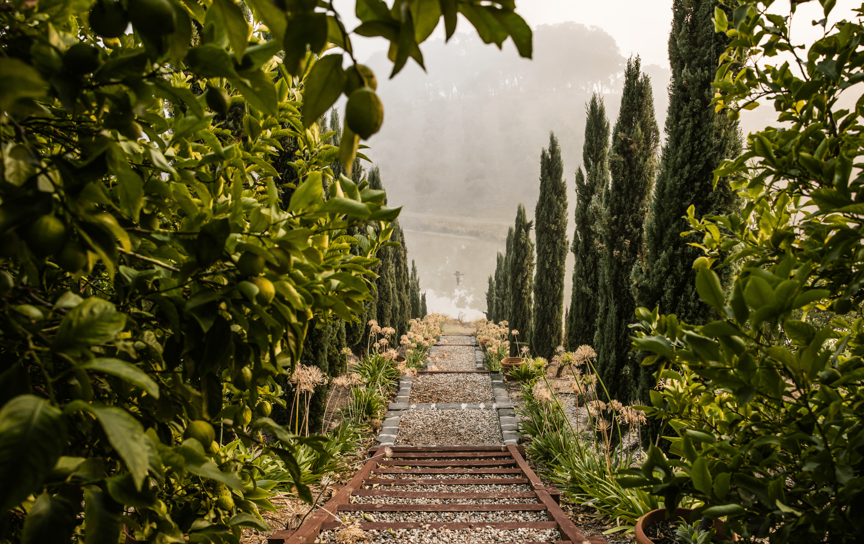 A shot of the winery with trees and shrubs.